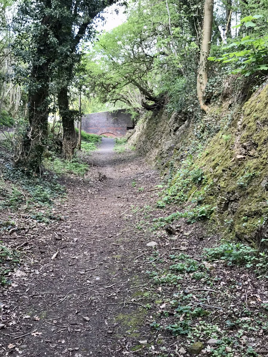 coal_legacies's tweet photo. More from the south: Doulton’s pit, Saltwells #NNR and #geosite worked for #coal and #fireclay for sewer pipes in response to local outbreaks of cholera transported to the #Dudley No. 2 #canal via an inclined tramway #miningheritage #industriallandscape #localwalking #explore https://t.co/8MXucfHS2G
