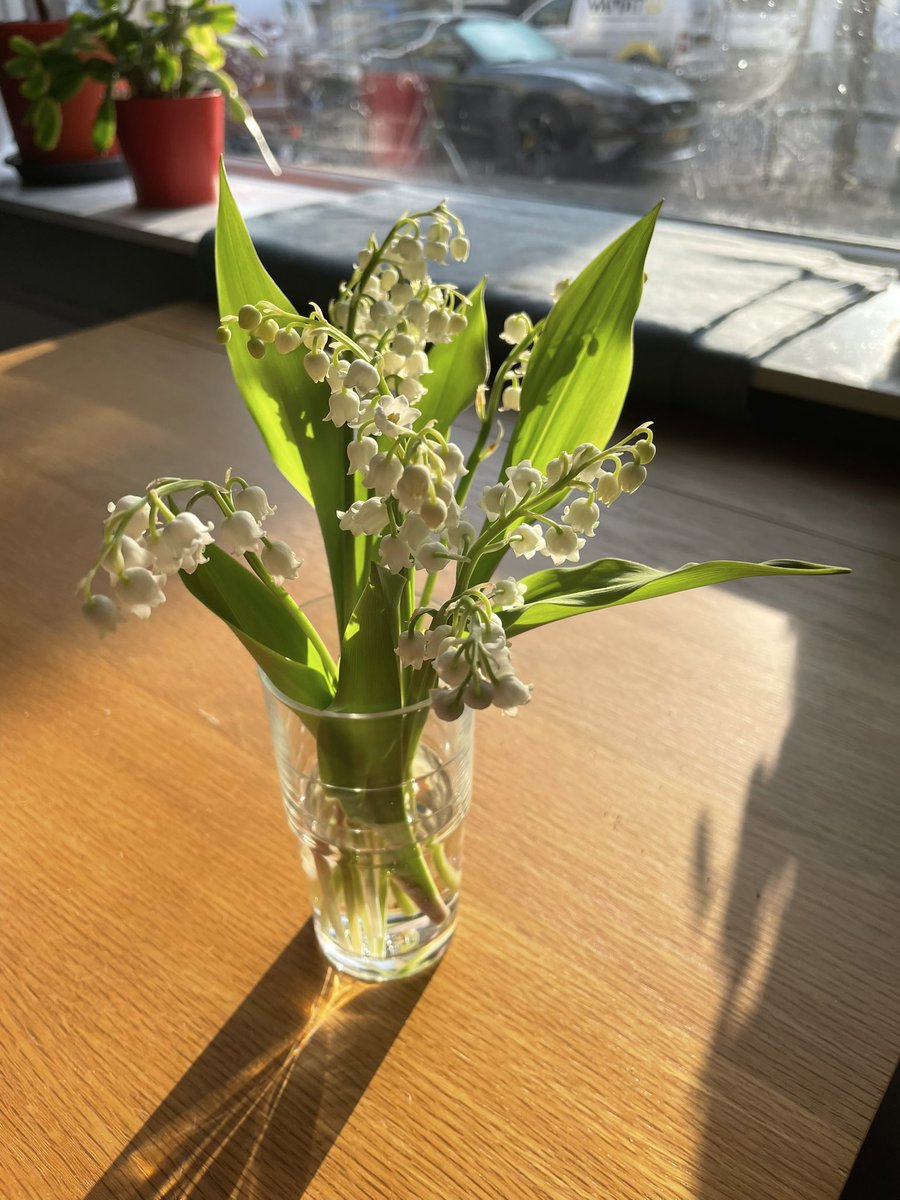 The #FrenchTradition of giving #LilyoftheValley is supposed to have begun on #May1st 1561, when King Charles IX was presented with a bunch of #LilyoftheValley as a token of luck and prosperity for the coming year. As a #frenchexpat, I continue this tradition! #fetedutravail