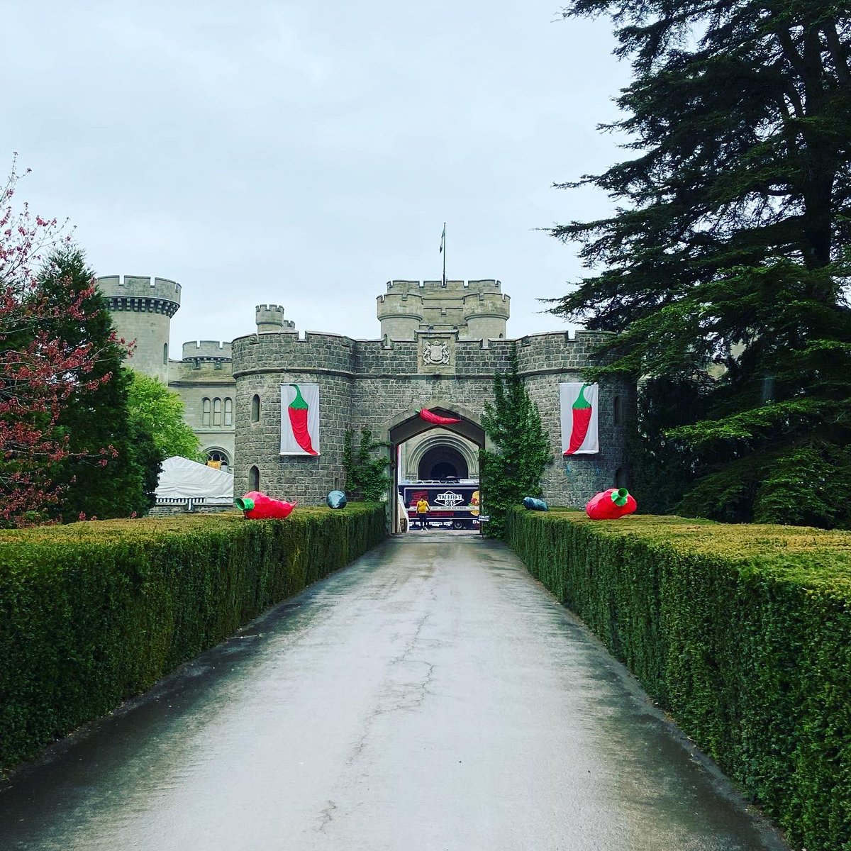 ChilliRogues's tweet photo. Eastnor Chilli festival!
Come on down and try our #chilli ice cream! Debut for the year, it’s cracking 😉 https://t.co/a57IY9Aha3