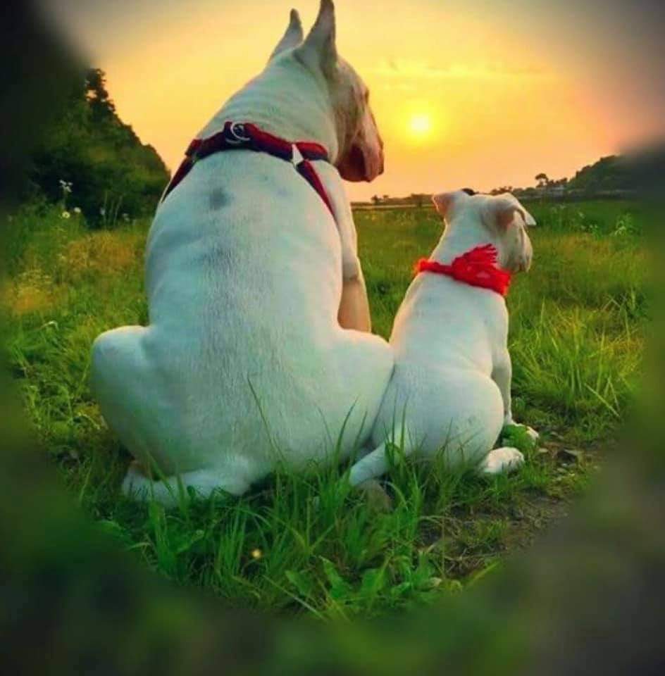 PaulMos02436367's tweet image. One day son this will be all yours!!! , have a great Sunday folks x