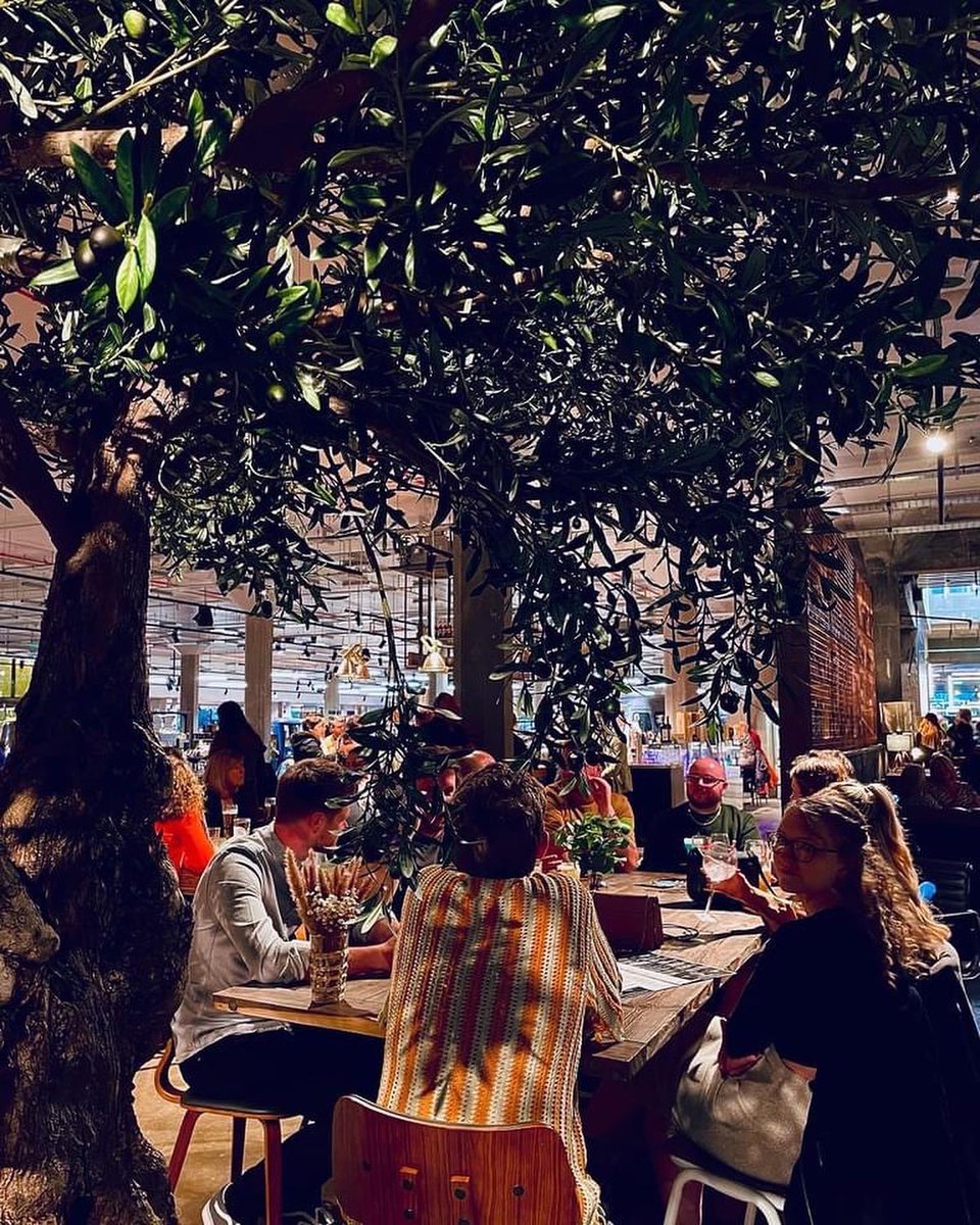 Northern Sole tweet media