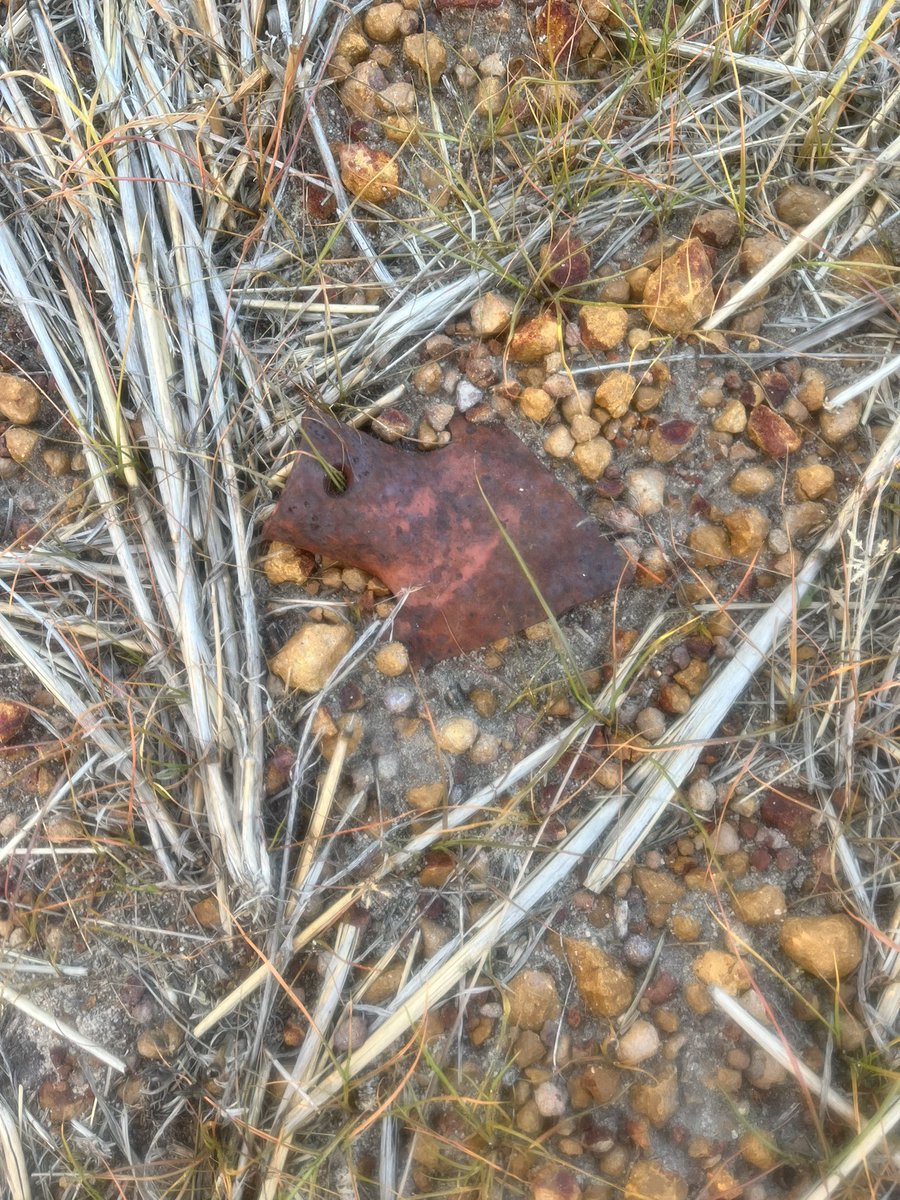 Cruising along seeding and out the corner of my eye I see this, think I might just pick that up! In a wheel track as well….. #lucky