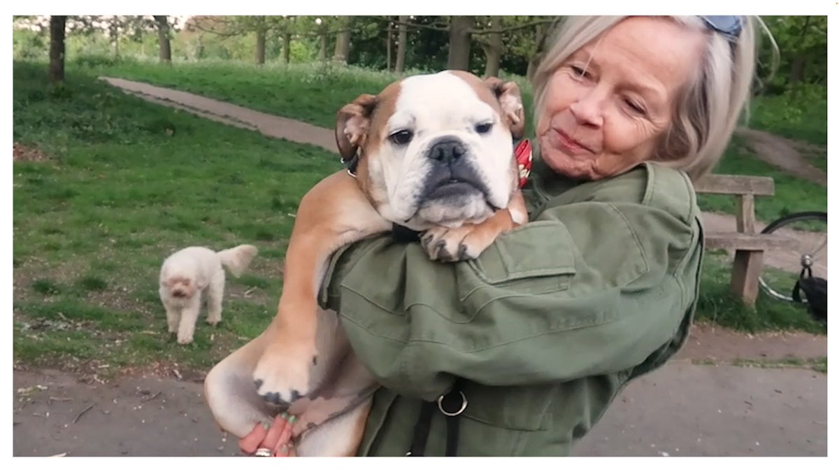 middleagedminx's tweet photo. A BIRTHDAY PARTY WITH A DIFFERENCE!! Watch now: https://t.co/Wia8L7nV9f
@beautypie @annawebbdogs @MaryleboneVllge #affordableskincare #luxuryskincare #cutebulldogpuppy #cuteppuppy #londonparklife #canineparties #maturefashion #antiageingskincare #singleliving #puppytraining https://t.co/kAfJmEEaFz