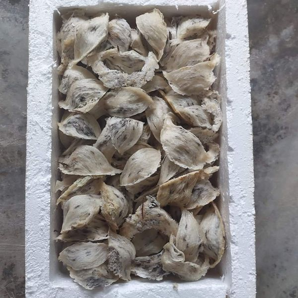 phuongnhi on Twitter "Bird's nest is one of the most nutritious and