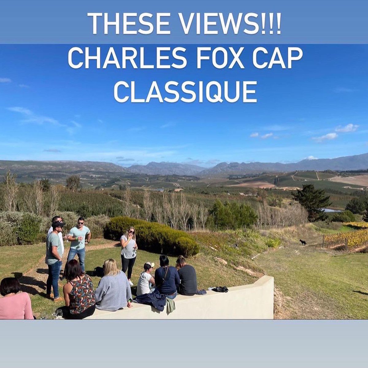 Experience Elgin tweet media