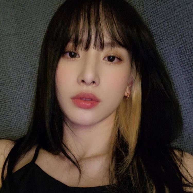 yveseolathinker's tweet photo. hello! this is a thinker account dedicated LOONA’s #YVES and WJSN’s #SEOLA. please help like and rt to spread! hope u enjoy your stay <3 https://t.co/sGCClBkBTU