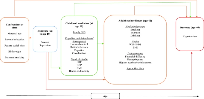 Ann Berrington tweet media