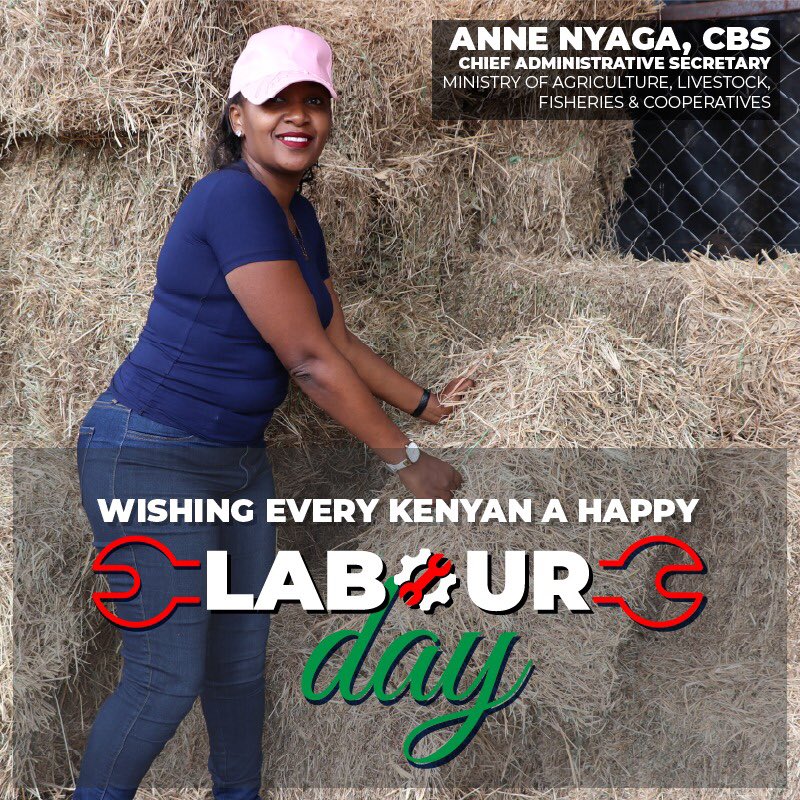 “All labor  that uplifts humanity ,has dignity “

To every Kenyan who strives  to bring dignity by working ,Happy Labour day ..
<a href="/kilimoKE/">Ministry of Agriculture & Livestock Development</a> <a href="/4Kclubs/">4KclubsKE</a>