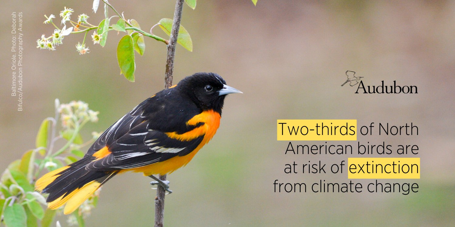 Audubon Society on Twitter "Wondering how climate change is impacting your local birds? Enter