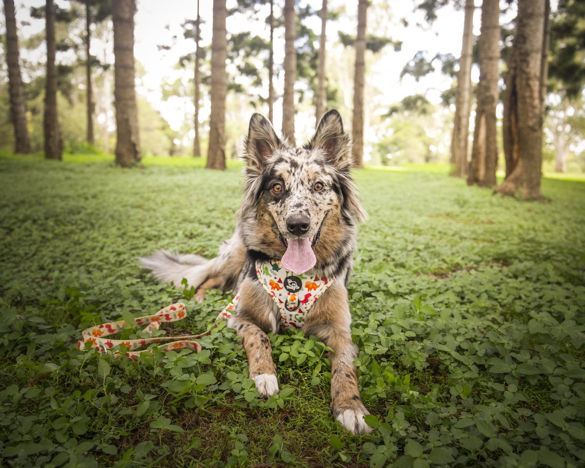 Courtraits tweet media