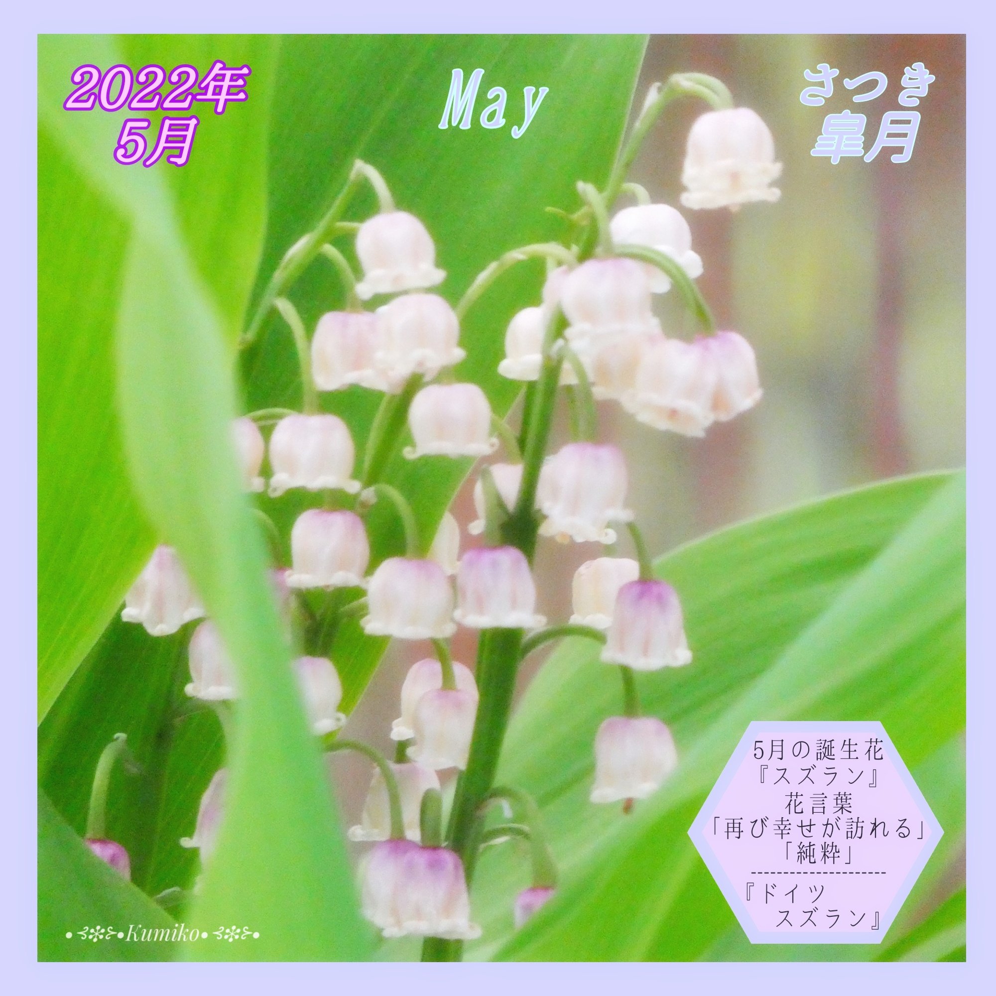 Bluepoppy Bluestar 5 1 日 5月 も宜しくお願いいたします スズランの日 フランスではこの日スズランの花を贈る習慣があり 送られた人には幸福が訪れるという 5月と5月1日の 誕生花 スズラン 花言葉 再び幸せが訪れる 純粋 純潔