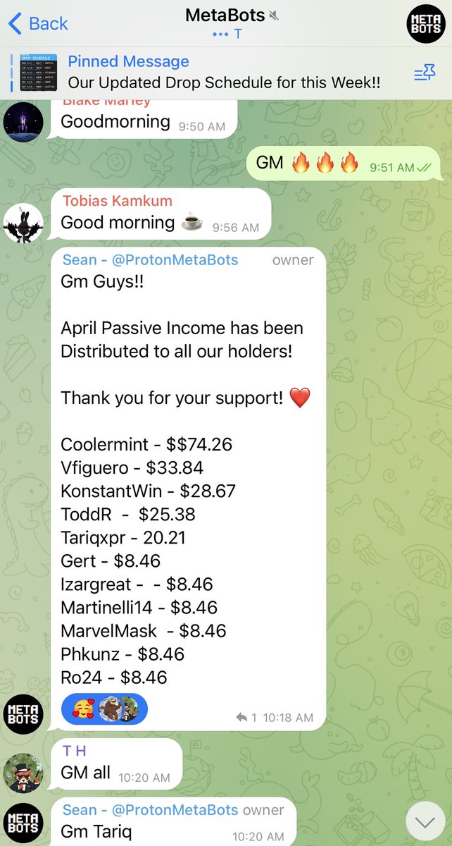 coolermint_'s tweet photo. IT PAYS OFF TO HODL 🔥🔥🔥 make sure to follow @ProtonMetaBots im a proud owner and proud top hodler 🦾🤖 *those are going to be MetaReady soon too 👀 #NFTCommunity #NFT #Proton2Years #blockchain #NoGasFee #Discord #LFG https://t.co/O50df8wBKw