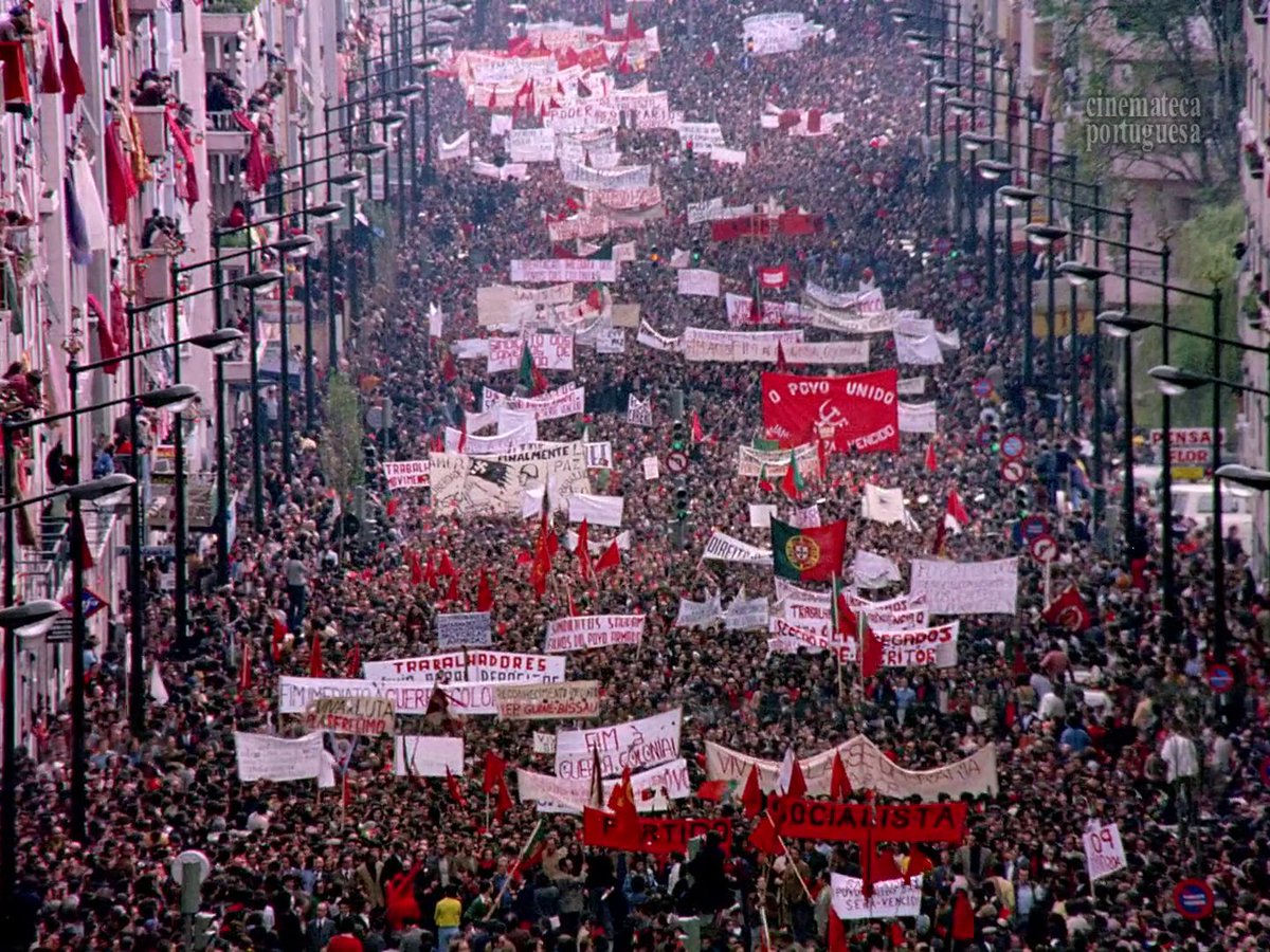 bernardo tweet media