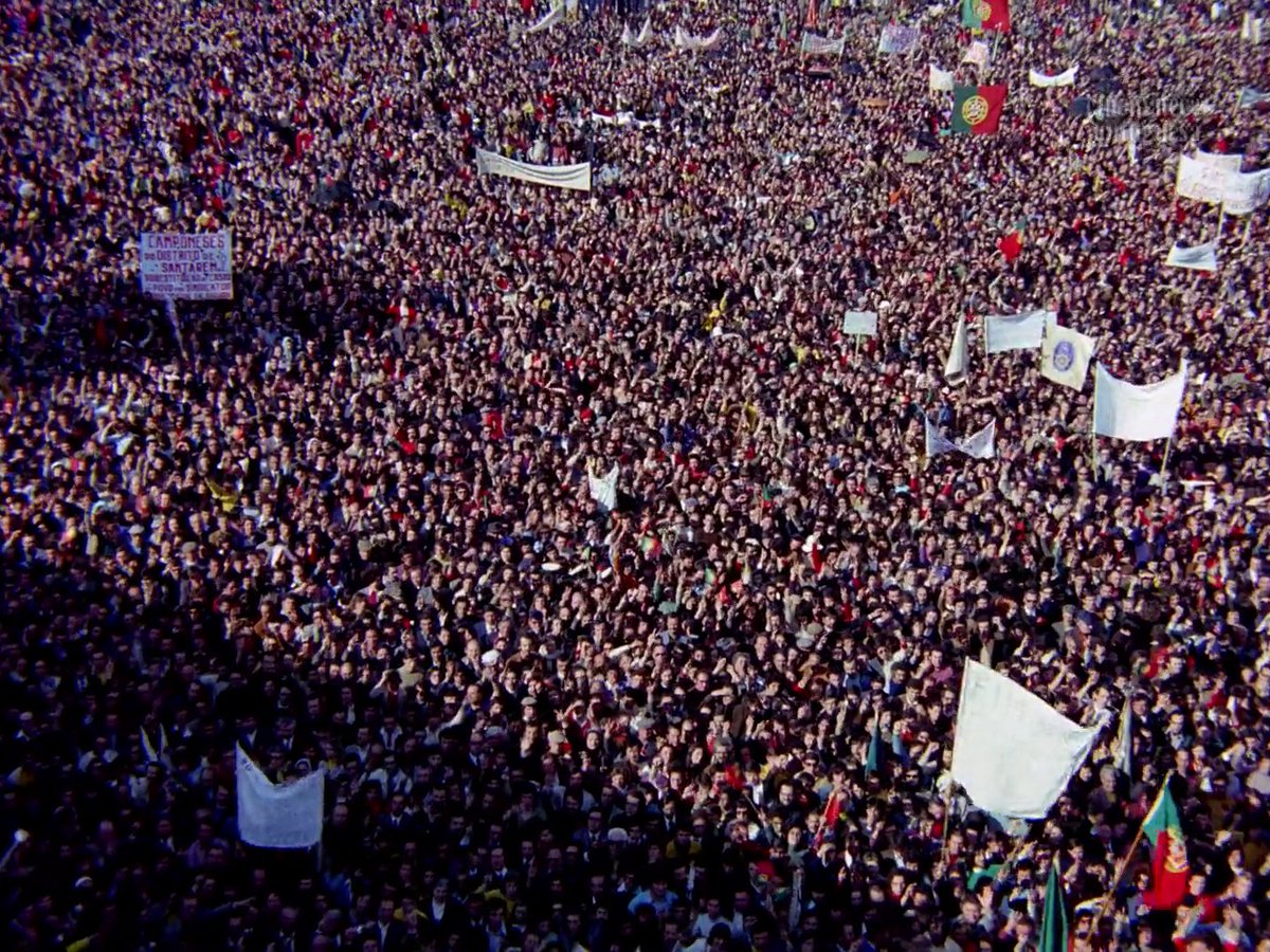 bernardo tweet media