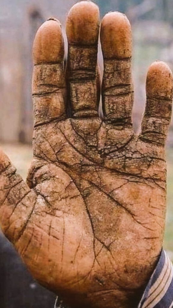 Mahsum (@mahsum67367978) on Twitter photo 