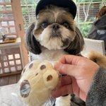 chris4989のツイート画像