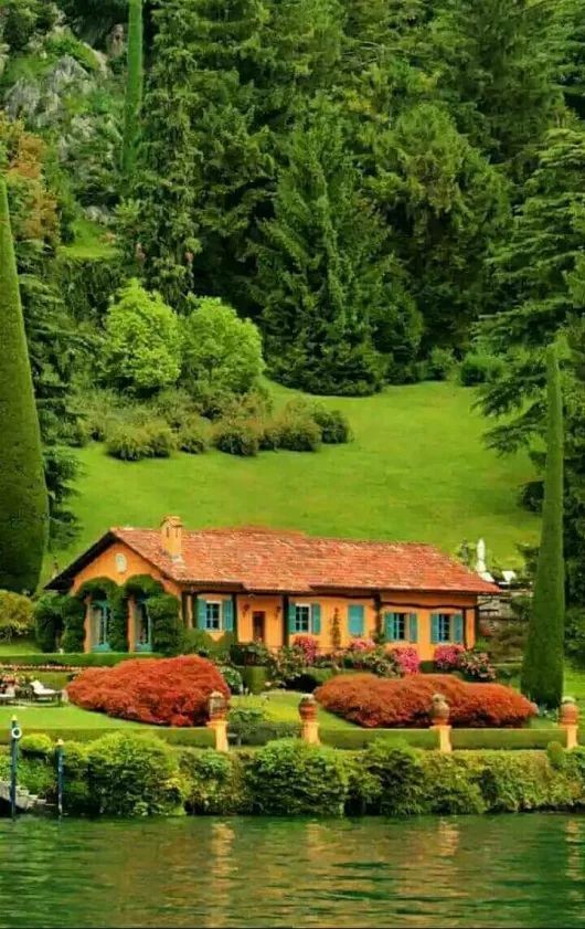 MiaSilva80's tweet photo. Nature https://t.co/jEh8fZHtBa