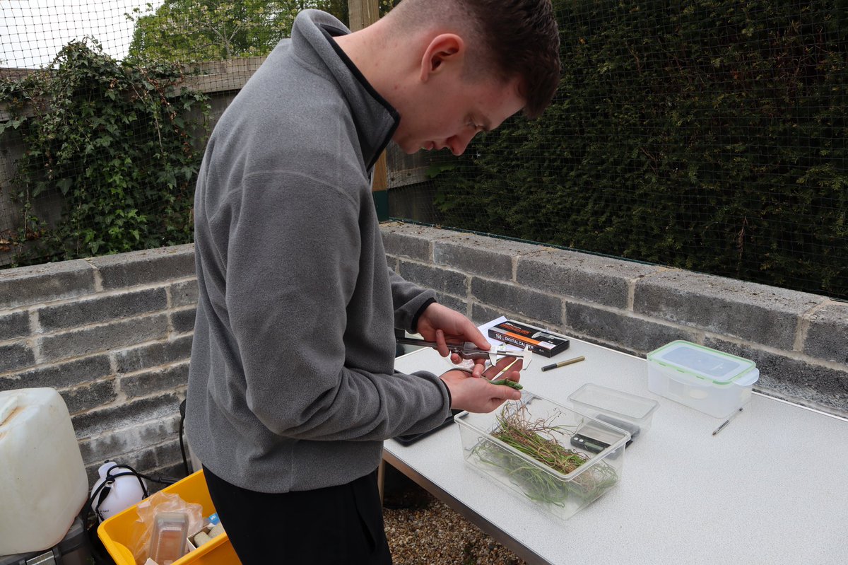 MorvenASmith's tweet photo. Had a fantastic time this week assisting with the annual sand lizard census at Marwell. Great to get some handling experience whilst taking morphometric measurements and learning more about this awesome species! https://t.co/zt41oGiuDL