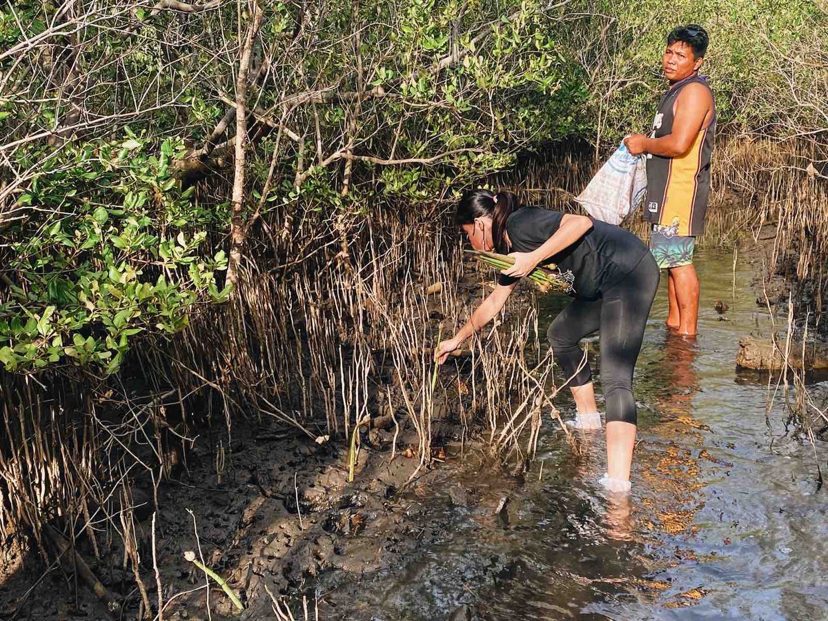 DonKissATeamOFC's tweet photo. With the recent issues rampantly involving the environment, we ought to celebrate and give back by proffering our resources to activities that could be of help in conservation towards livable &amp; sustainable environment &amp; communities. 

#DONKISSxUnCINCObleFamily
DONKISS TURNS FIVE https://t.co/q6gLnM3jKQ