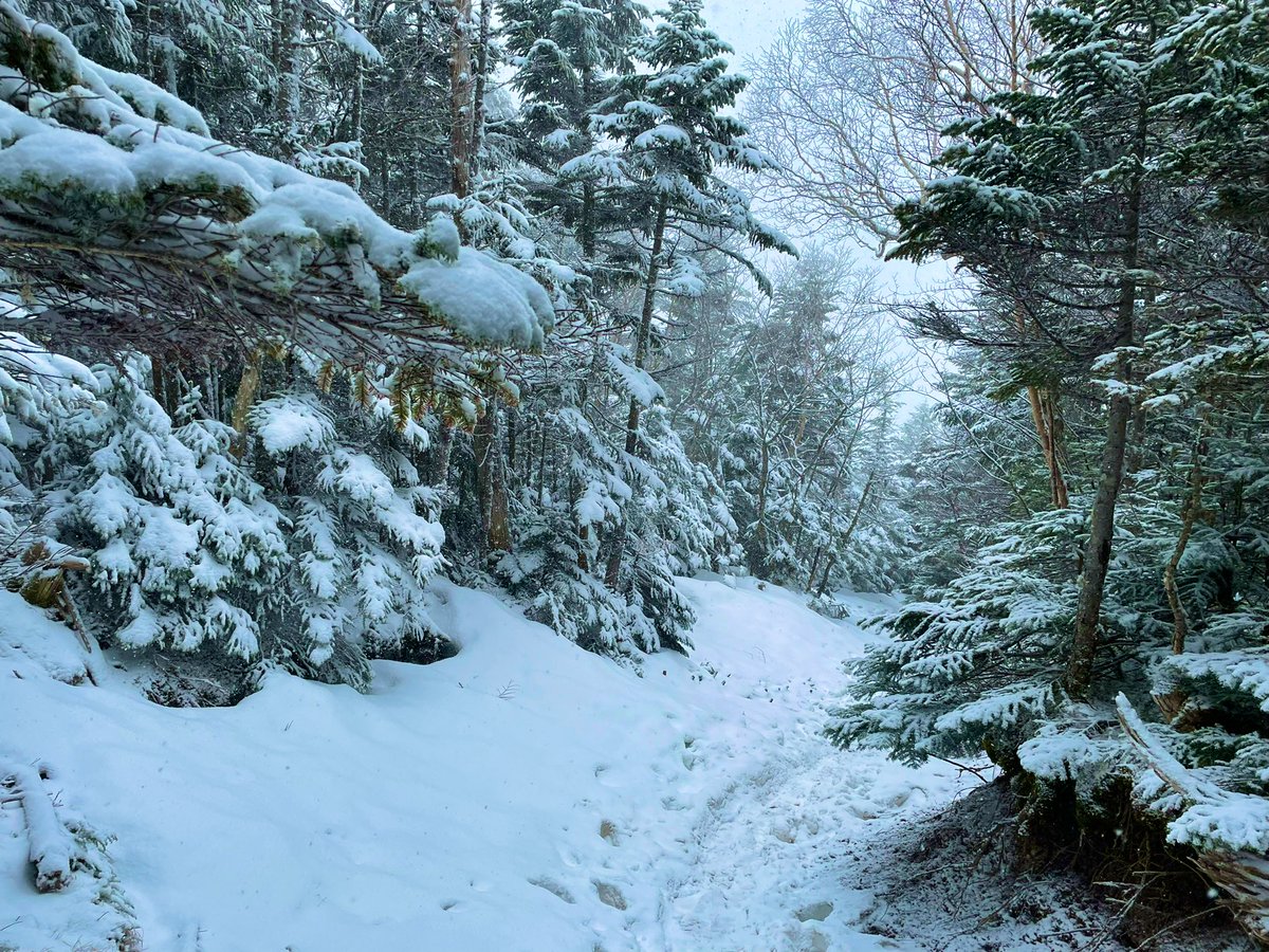 banker226's tweet photo. 雪山登山部🥾 https://t.co/ALRO7aUJ8E
