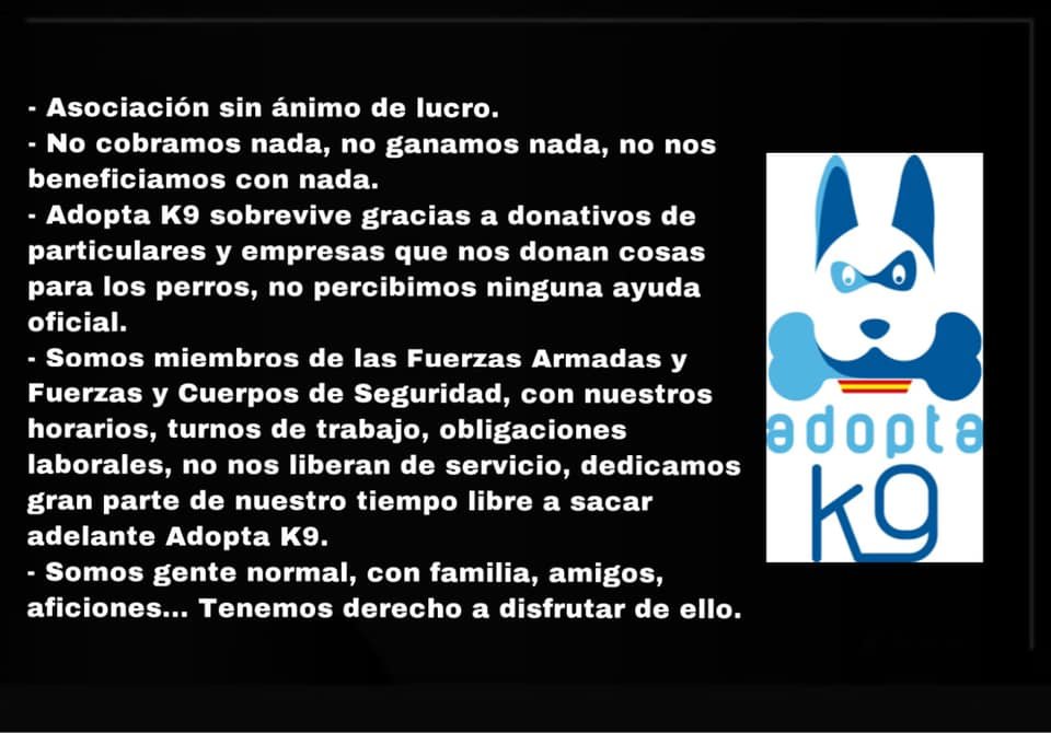 Adopta K9 tweet media