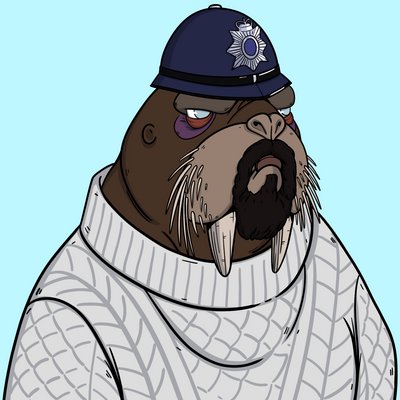 TOKOPURILA's tweet photo. @solanaapeman @WATwalrus cool shit https://t.co/PcNNCBhlWf