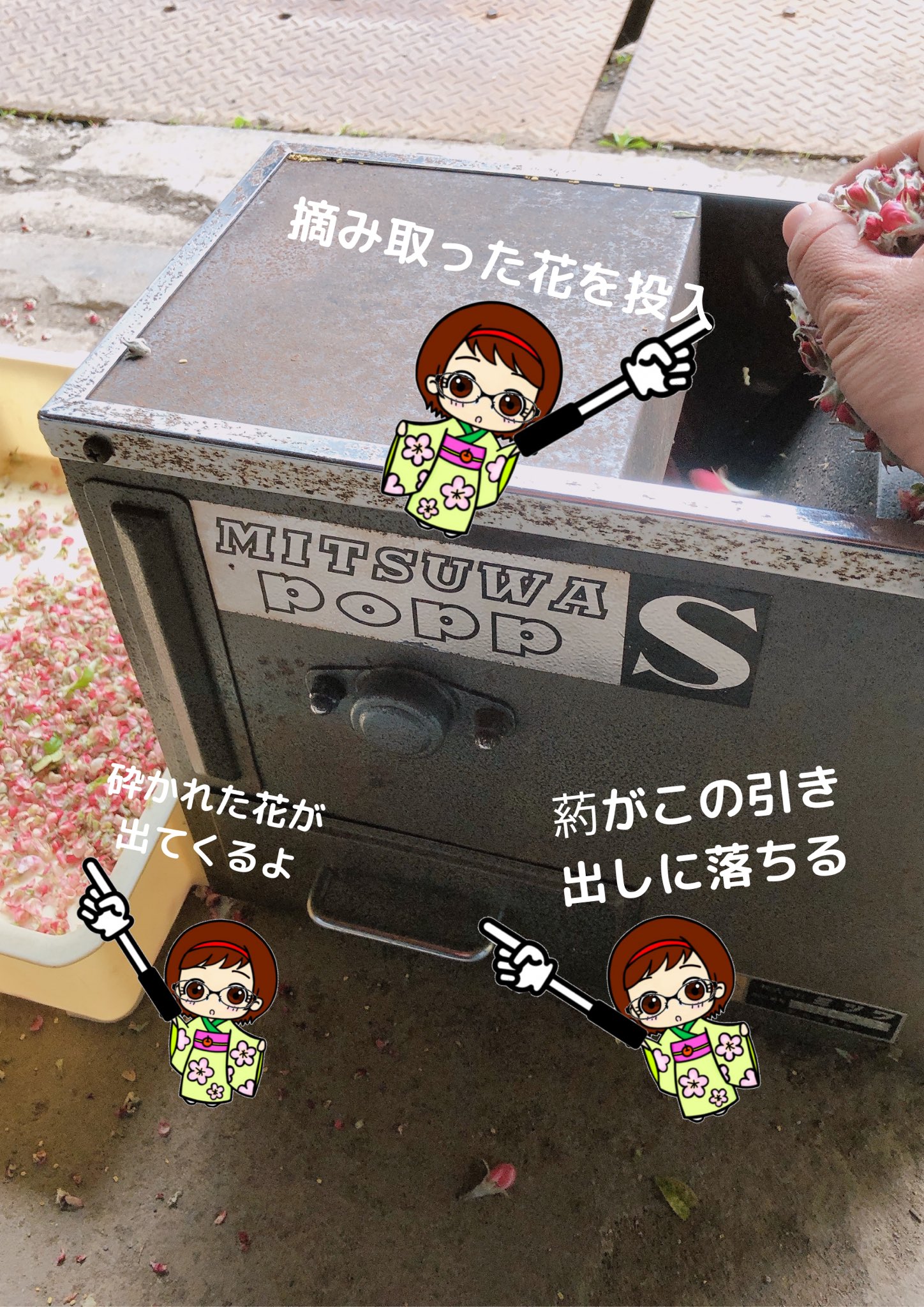 高谷りんご園 Takayafruitfarm Twitter
