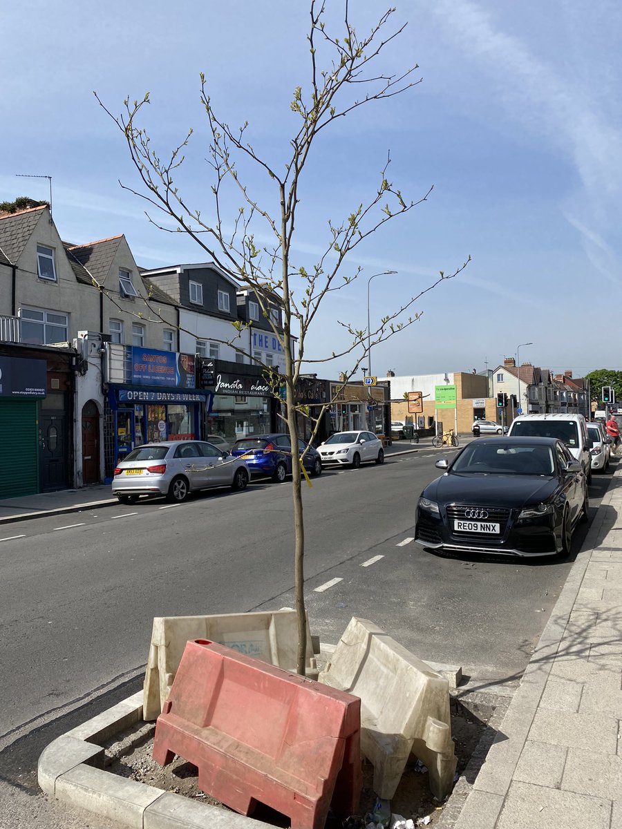 GutoOwenH2's tweet photo. More sad than SuDS 
(Sustainable Drainage Systems: jargon for nature)

Cowbridge Rd, Canton, Cardiff

Litter-strewn, isolated, apologetic

And hazardous, from conversations with voters

Fit for purpose? Or token gesture?

Must do better
#LocalElections2022
🟢Vote #CommonGround ✅ https://t.co/nyCZ03h8Ci