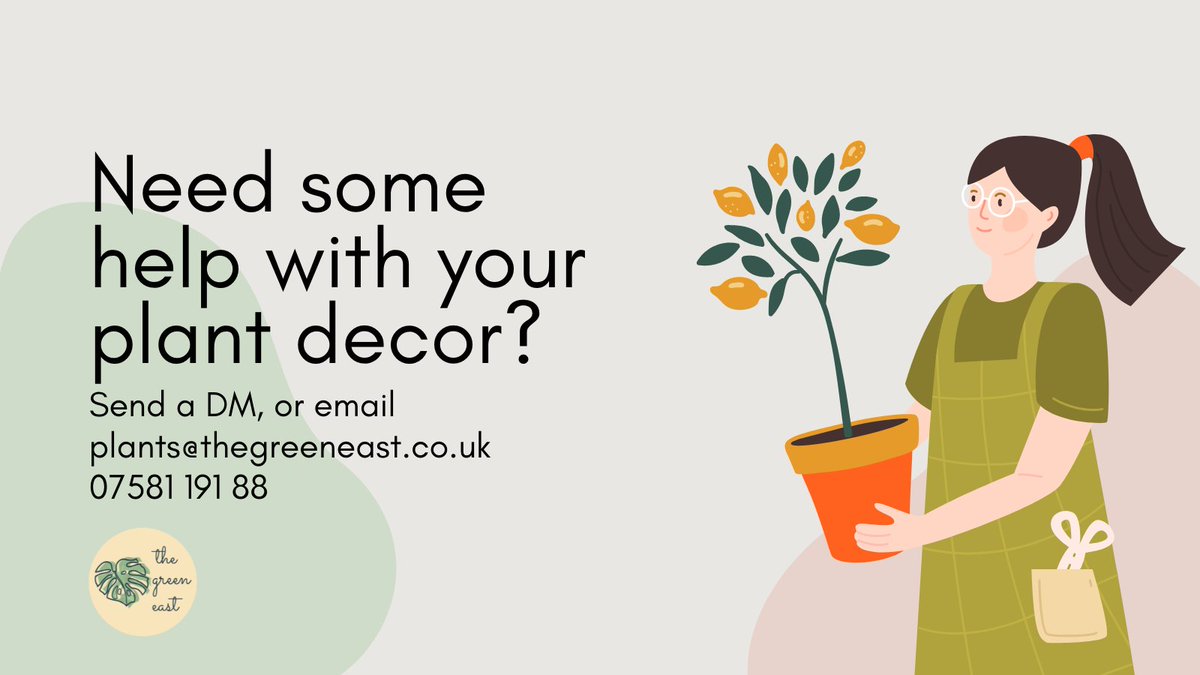 the_greeneast's tweet image. We help people create beautiful indoor spaces with our plant consultancy and plant care services. 

Contact us today to get started on creating on greening up your business or home today!

#houseplants #northernirelandbusiness #retailni