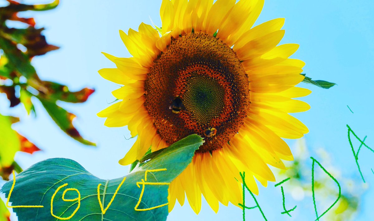 I wish my family and all my Friend’s🍀🌺🍃
Happy Eid,  voll of blessed 😇 years🙏🏻

أتمنى لعائلتي وجميع أصدقائي🌺🌿🍃
 كل عام وانتم بخير ، عيد مبارك سنوات مباركة 🙏🏻😇🌺🍀