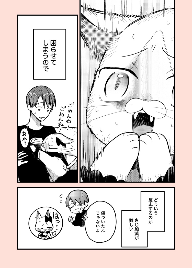 今更エイプリルフール漫画
#妹は猫 