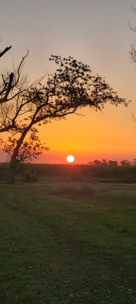 PerignonRG's tweet image. Buenas... #EsteFinde