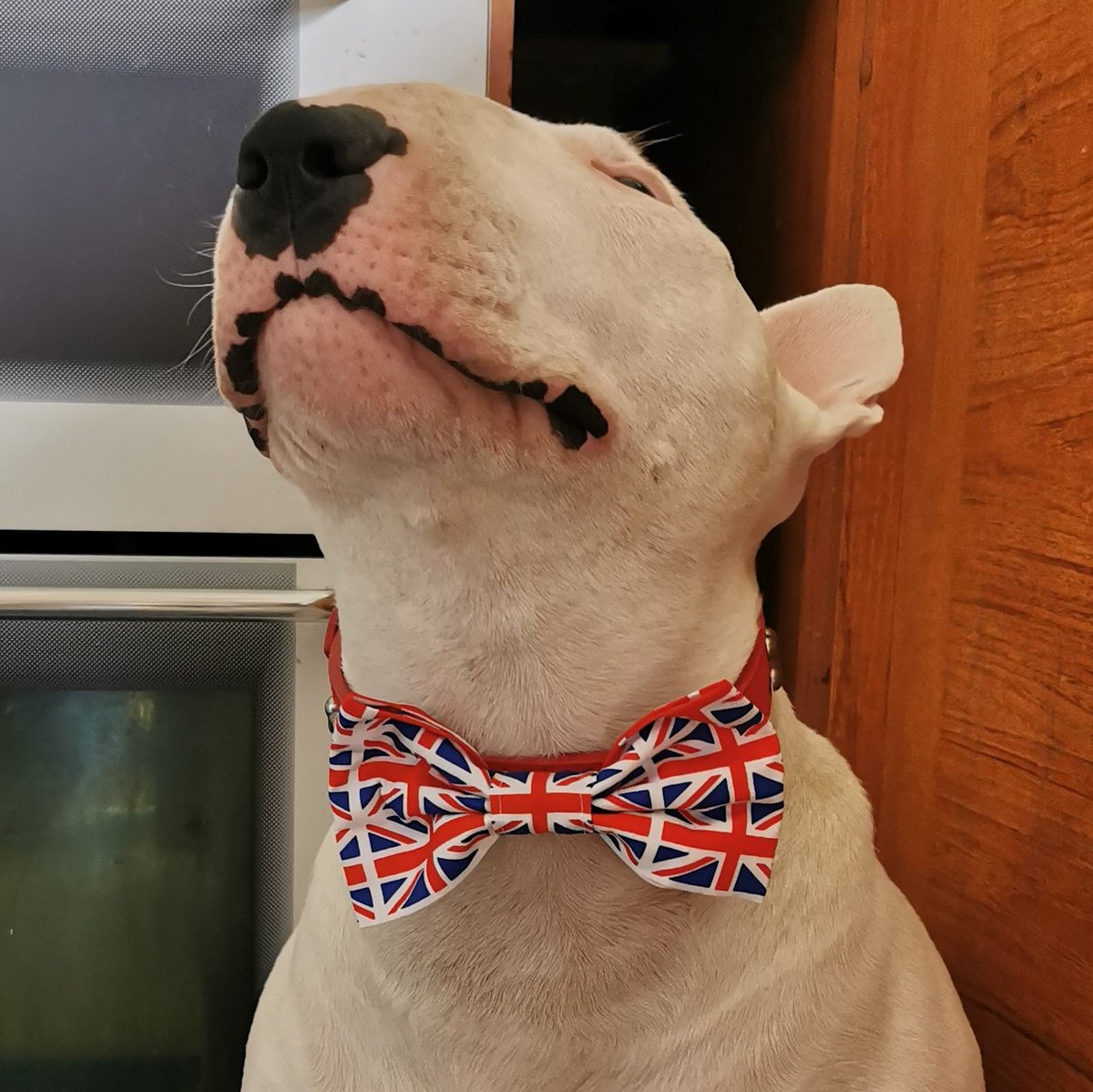 PaulMos02436367's tweet image. #NewProfilePic