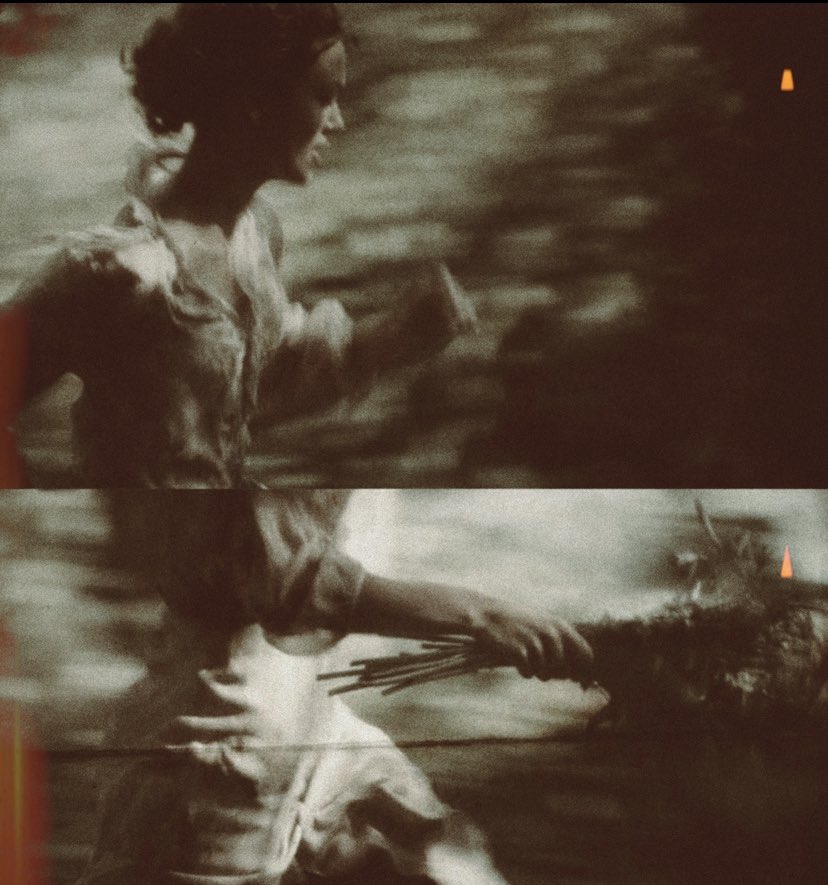 "bir baharı hak ettim, hiç kimseye hiçbir şey borçlu değilim."

| virginia woolf