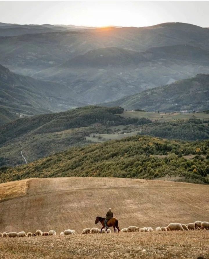 Zlatar, Srbija
