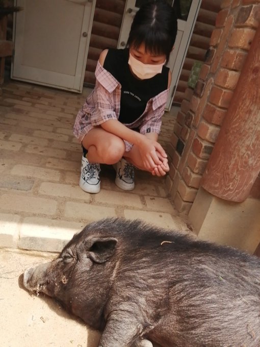 Twitterのコスプレ画像18