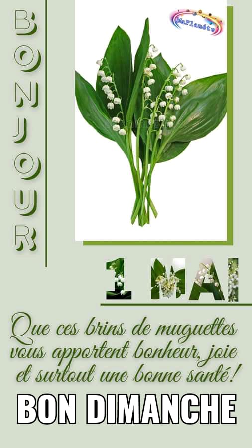 ElimaneDIOUF7's tweet photo. Elimane DIOUF SG SATES &amp; CSA. https://t.co/Dc66S0QwpH