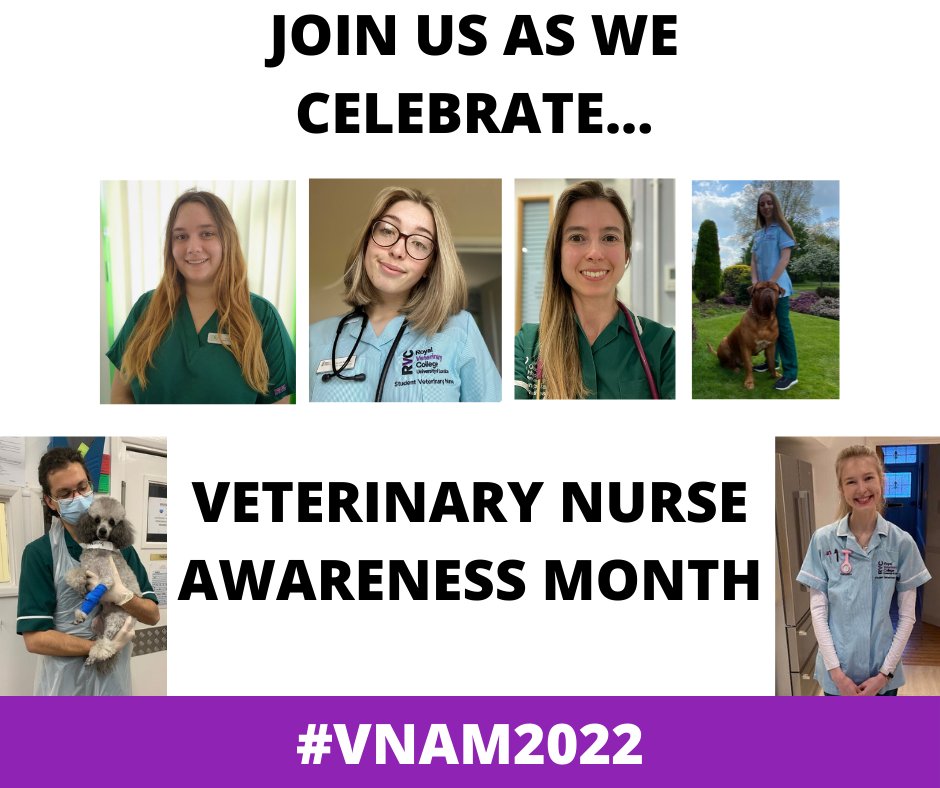 🎉 It's Veterinary Nurse Awareness Month this May!

We'll be sharing inspirational messages from our current student and staff vet nurses.

#VNAM2022 #OurProfessionMyResilience