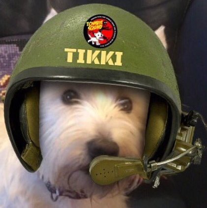 DogDazeUK's tweet photo. Happy #FoundersDay, #ZSHQ palz! ♥️🎂
#BraveWinston #ZSBoss
@BraveWinston @ZombieSquadHQ https://t.co/7rwG8BDFyF