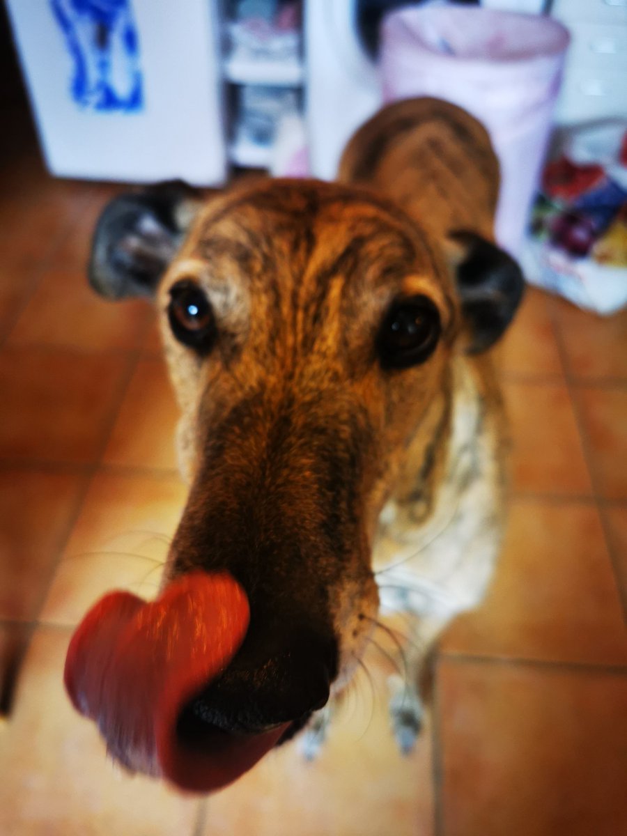 Sunday = pancake day 💪🏻🥞