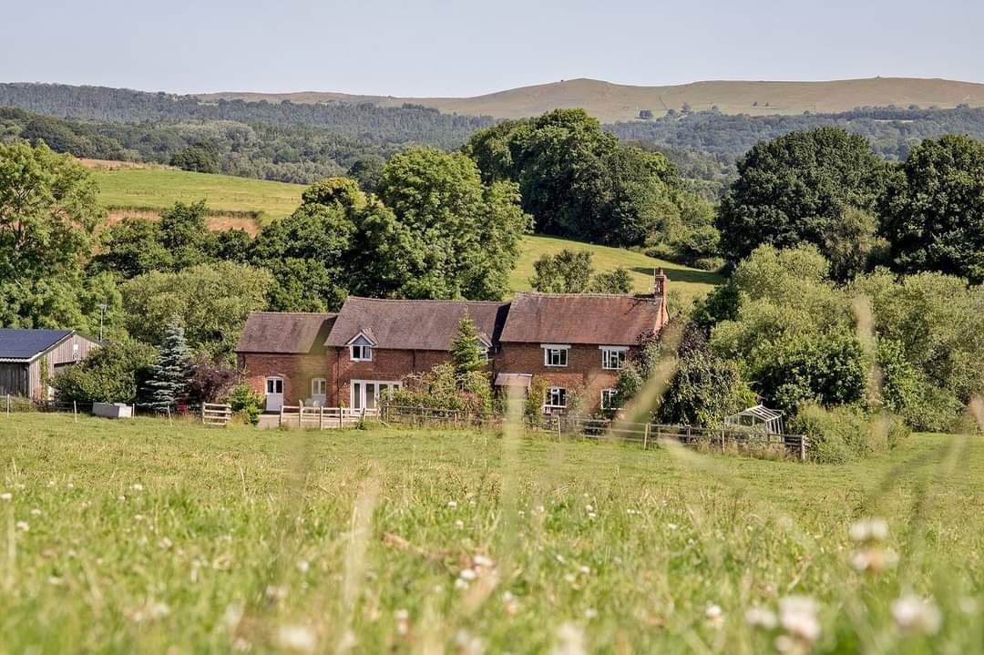 Greenacreshols's tweet photo. Happy #StaffordshireDay from our corner of Staffordshire in the Churnet Valley (taken last Summer, we aren't quite this far along yet!) https://t.co/fpwhJPNM70
