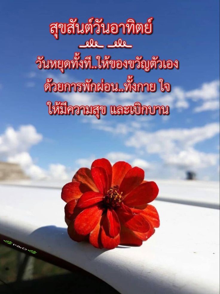VVnarok22's tweet photo. @1llAkNaFBSYsxsG สวัสดีค่ะ✌️✌️ https://t.co/oMtsVZzRRm
