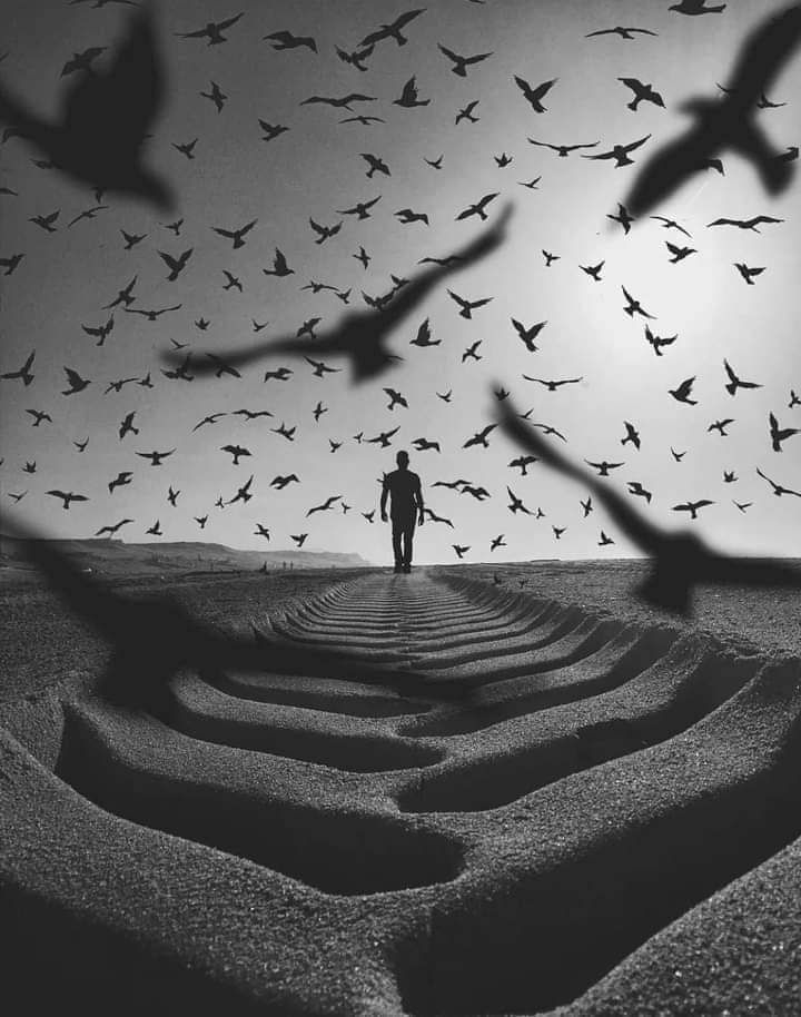 ما أردته لنفسي ليس الذي حدث لي بالفعل، ولكنني غيرت خططي ألف مرة لأفرح، وألف مرة لأحتمل، وألف مرة لأعيش.