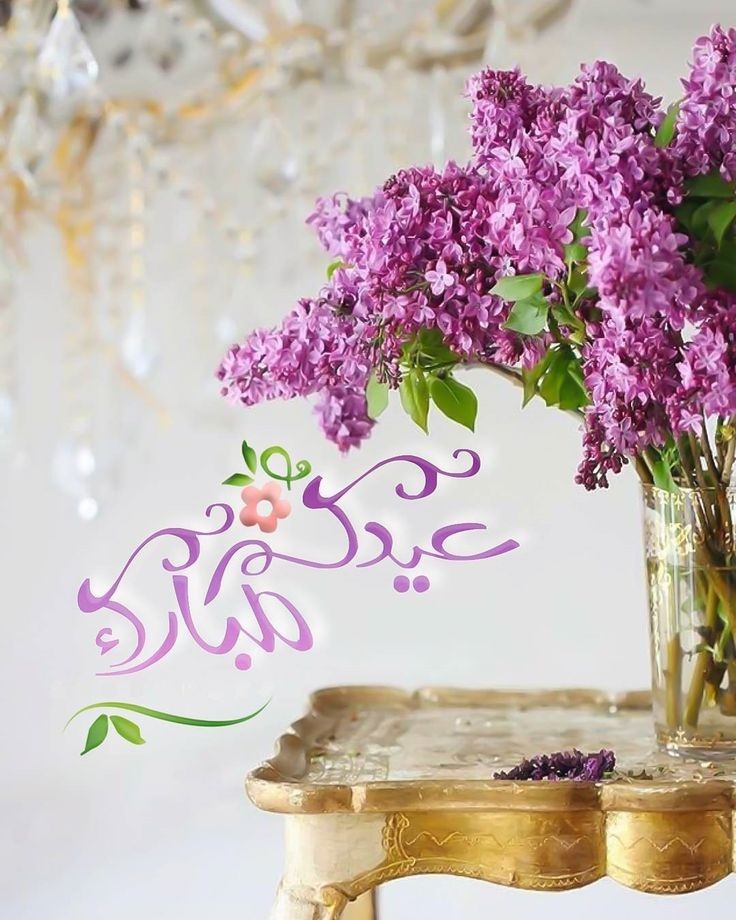 كل عام وأنتم بألف خير وتقبل الله طاعاتكم♥️
#عيد_الفطر_المبارك