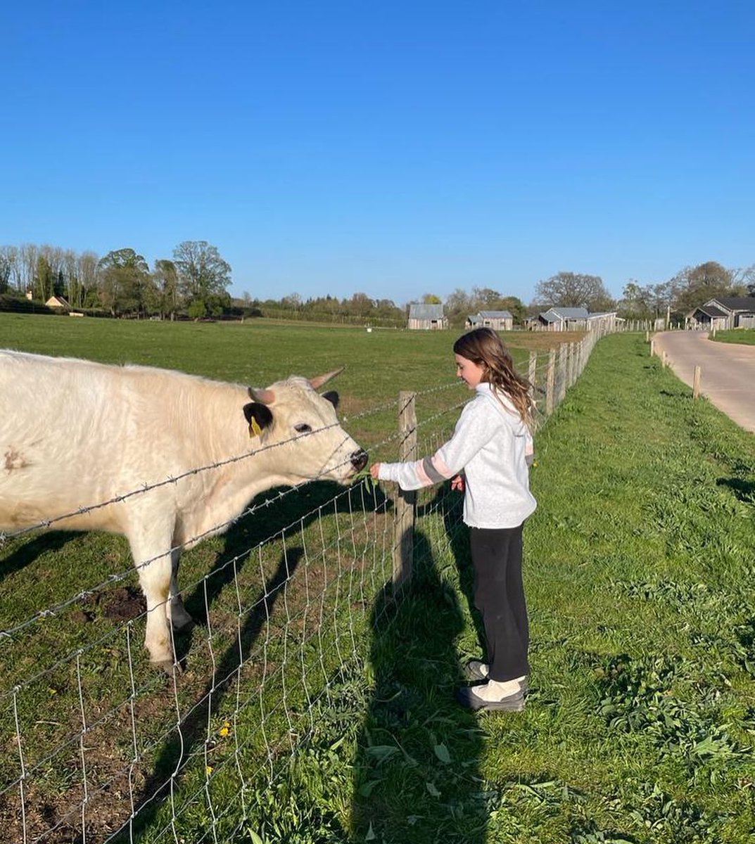 We took a little family vacation before the next adventure 🌳☀️❤️
Just the five of us, some good food and a whole lot of nature. 
Now I'm more than ready to jump into a new exciting project.