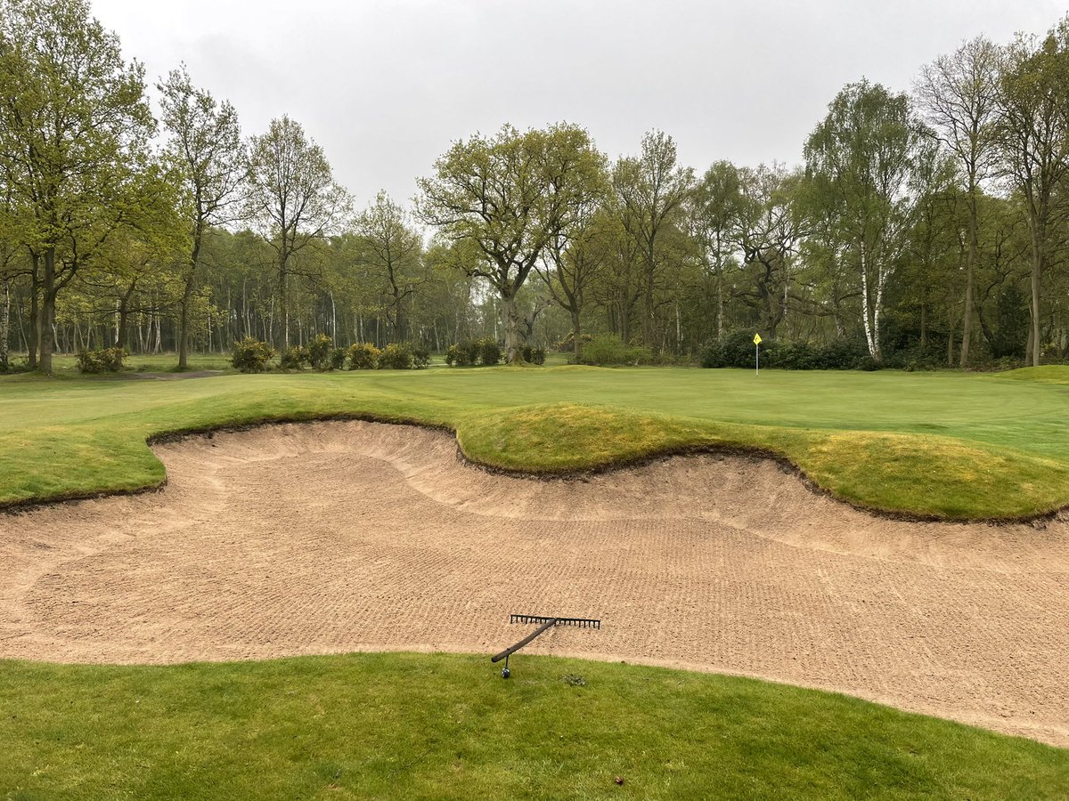 Course looking great for todays Rose Bowl <a href="/TheYorkGolfClub/">York Golf Club</a>