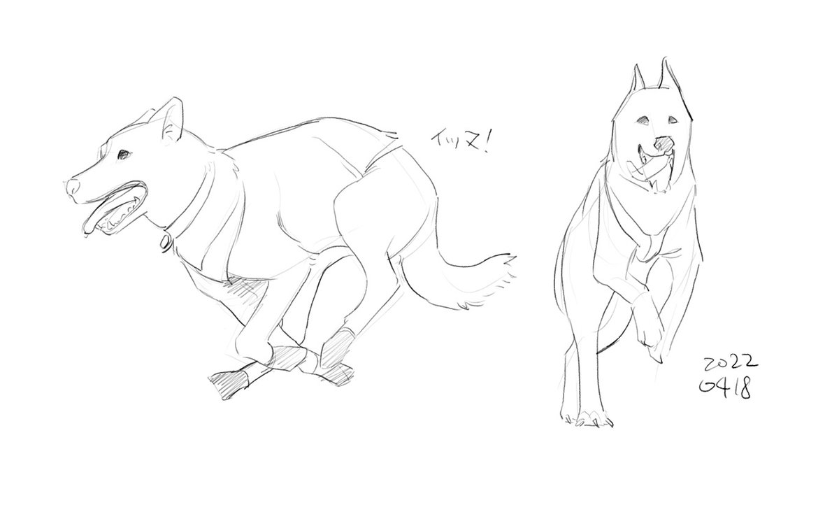 最近のもしゃもしゃ
https://t.co/PTgU6Ap5QU 