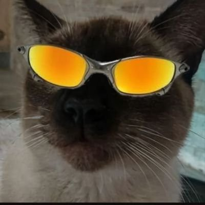 Andrei9x's tweet image. melhor duo da hero cup?
EH A TROPA DO MIAU🐈🐈🐈🐈
SE CAIR NO DROP É VRAU🐈🐈🐈🐈🐈🐈🐈🇧🇷🇧🇷🇧🇷🇧🇷FLASH DANDO 200TOLA⛈⛈🐈🐈🐈AMPLY COMEMORA🐈🐈🐈🐈🐈🇧🇷🇧🇷
#GOMIAU #GOFLASH #HeroNoBuild