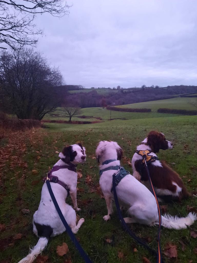 Well behaved spanners