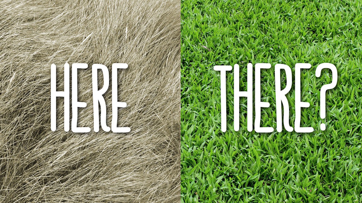 In my most recent blog post I share my own #greatresignation story. In 2021 I weighed the pros &amp; cons of staying in my role or accepting a new one. I hope it helps my colleagues in #highered <a href="/Grad_Careers/">GradCareerConsortium</a> to know your worth &amp; seek out new opportunities. bit.ly/Stay-or-Go